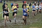 Senior womens 2018 British Inter Counties Cross Country Champs., Prestwold Hall, Loughborough. Photo: David T. Hewitson/Sports for All Pics